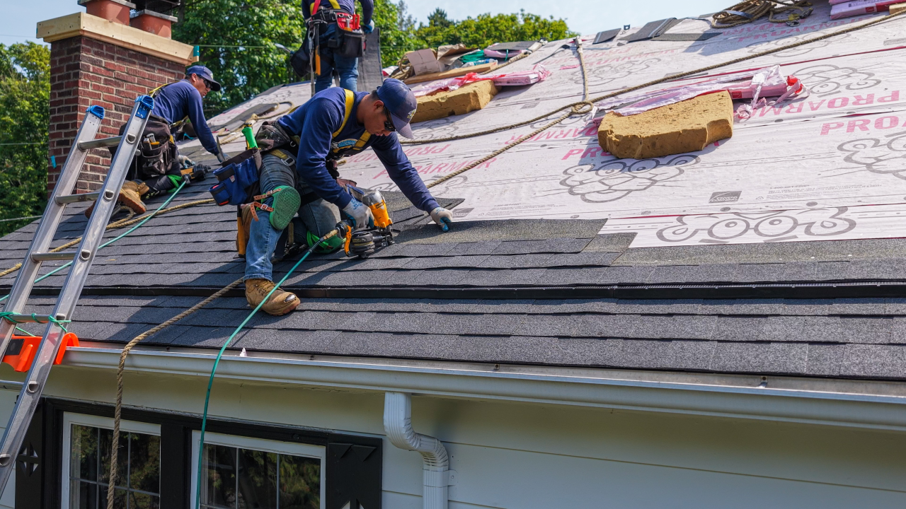 Roof and siding work